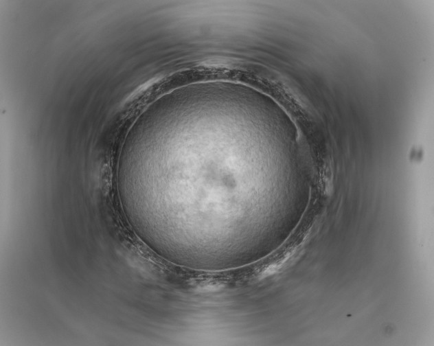 X0000090910821200708131411