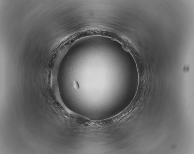 X0000090910822200708131411