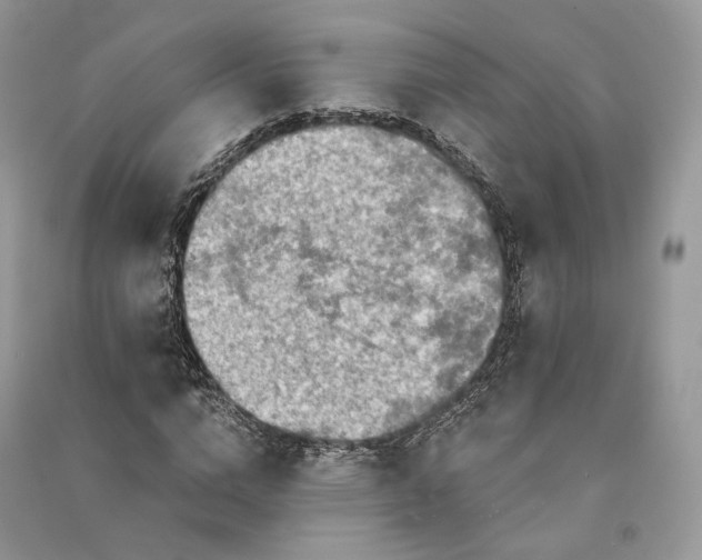 X0000090910824200708131411