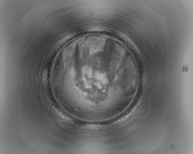 X0000090910825200708131411