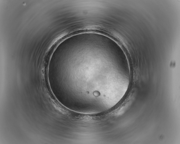 X0000090910827200708131411