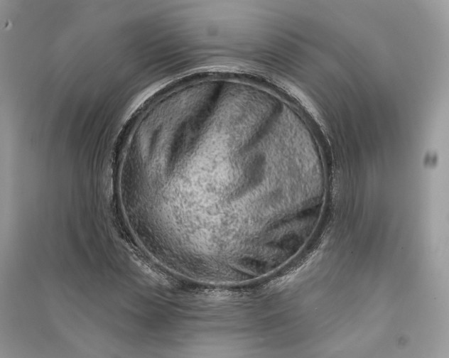 X0000090910829200708131411