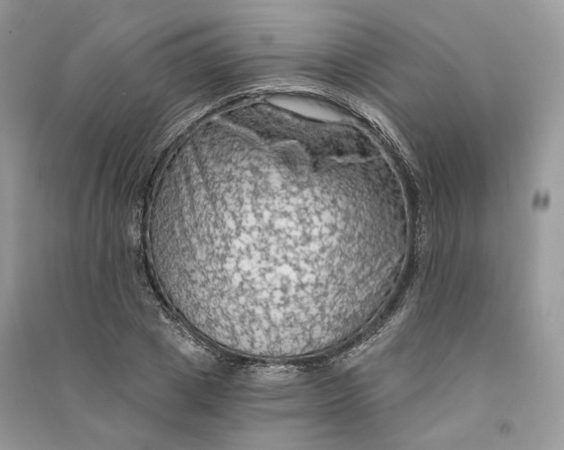 X0000090910833200708131411