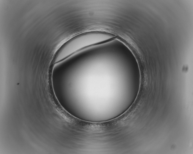 X0000090910834200708131411