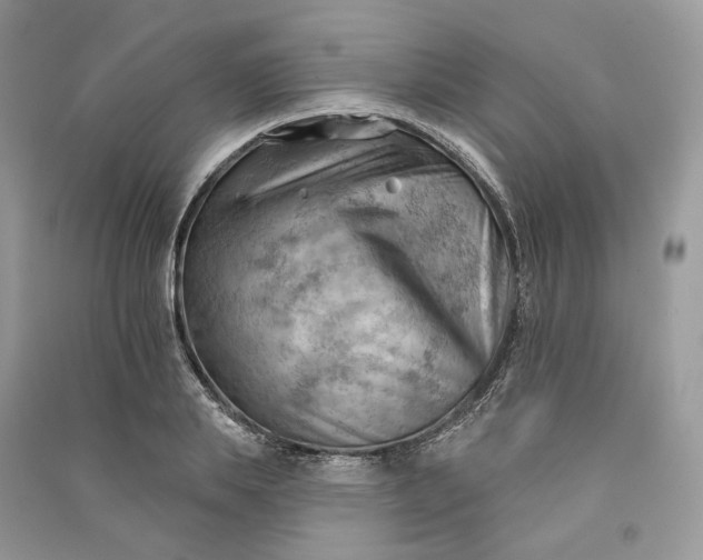 X0000090910839200708131411