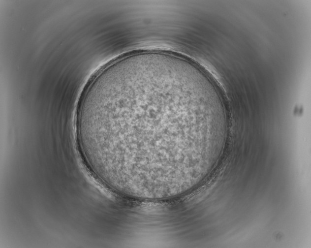 X0000090910840200708131411