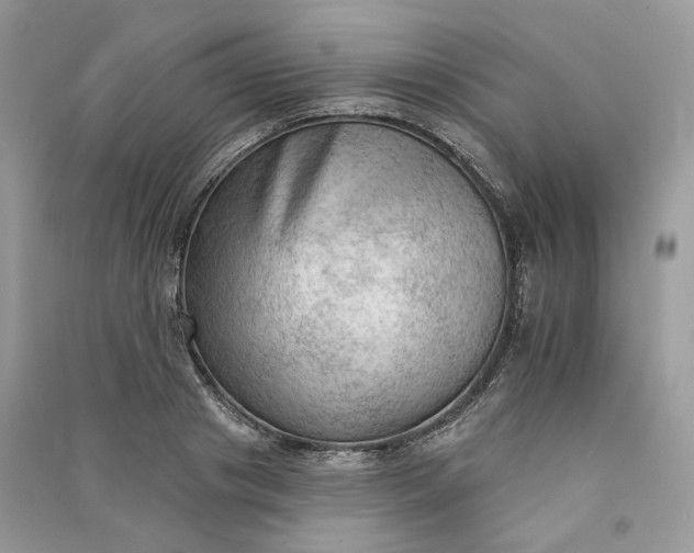 X0000090910841200708131411