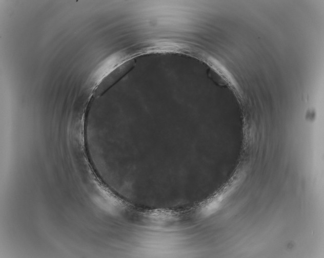 X0000090910842200708131411