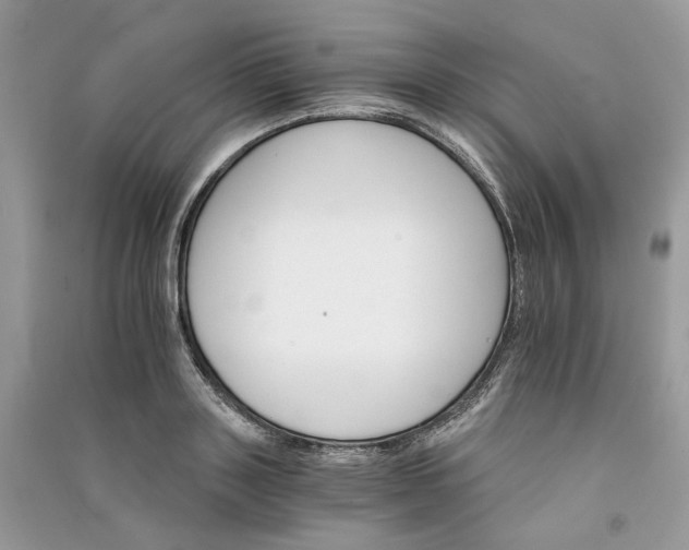 X0000090910843200708131411