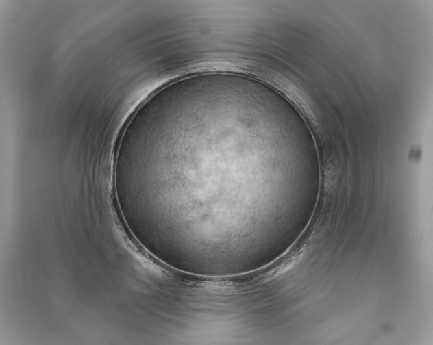 X0000090910844200708131411