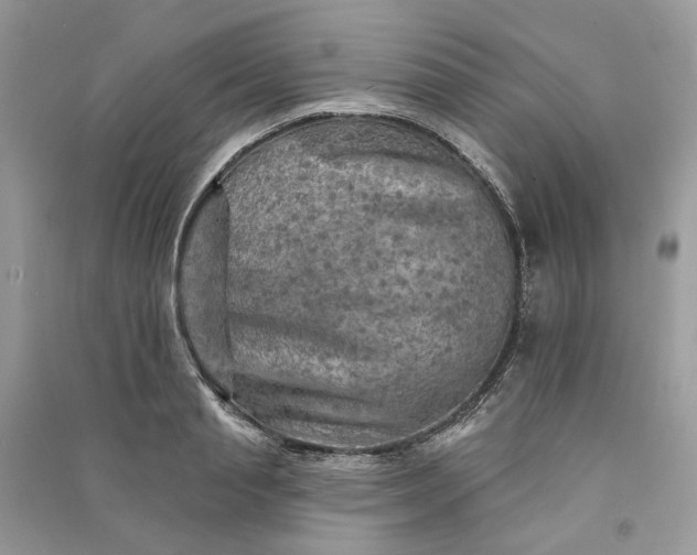 X0000090910845200708131411