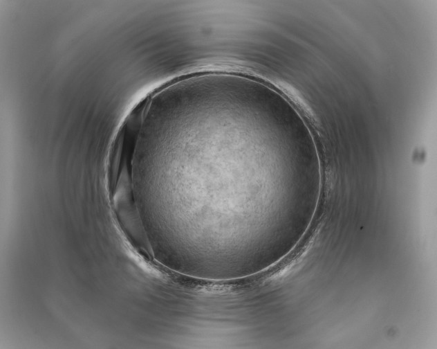 X0000090910846200708131411