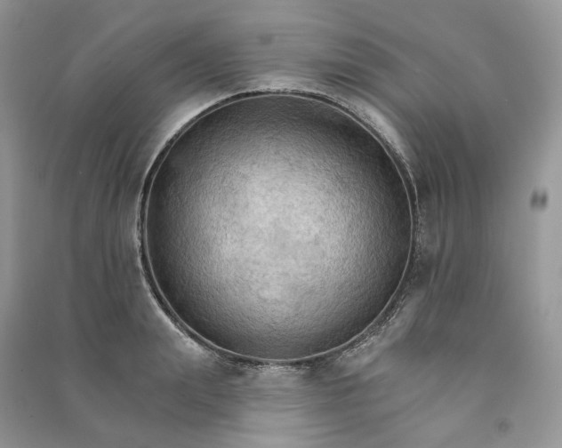 X0000090910847200708131411