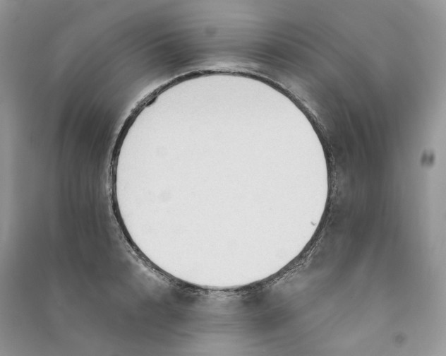 X0000090910848200708131411