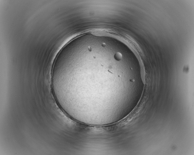 X0000090910852200708131411