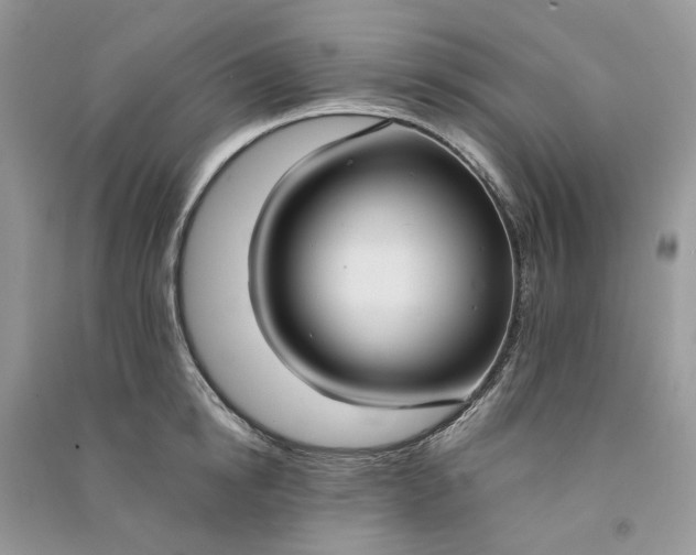 X0000090910854200708131411