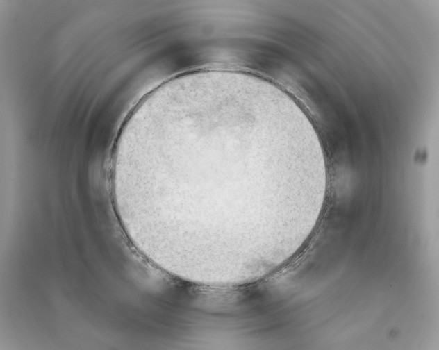 X0000090910856200708131411