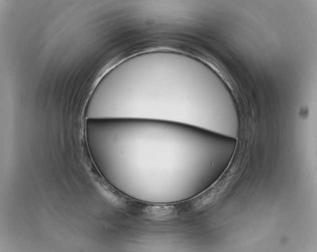 X0000090910858200708131411