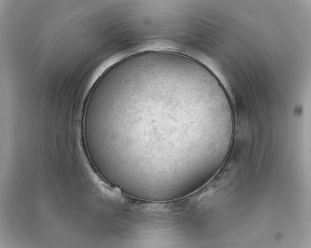 X0000090910861200708131411