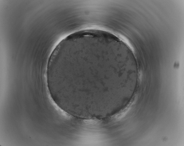 X0000090910863200708131411