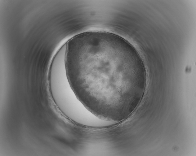 X0000090910864200708131411