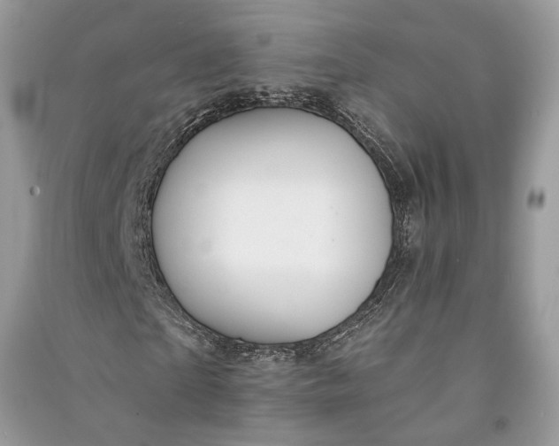 X0000090910865200708131410