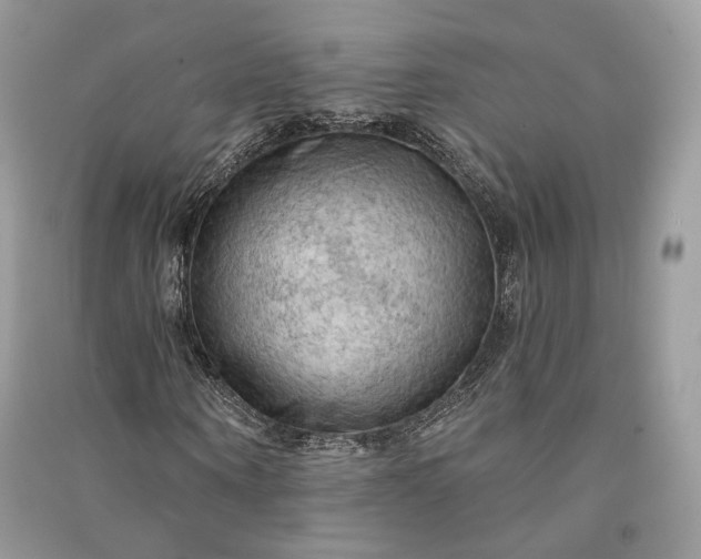 X0000090910866200708131410