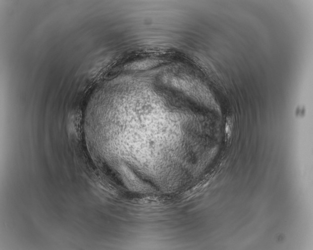 X0000090910867200708131410