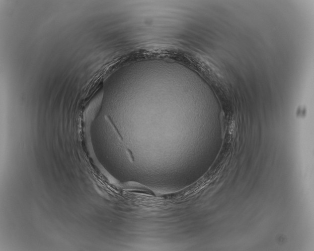 X0000090910868200708131410