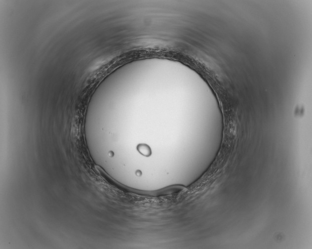 X0000090910869200708131410