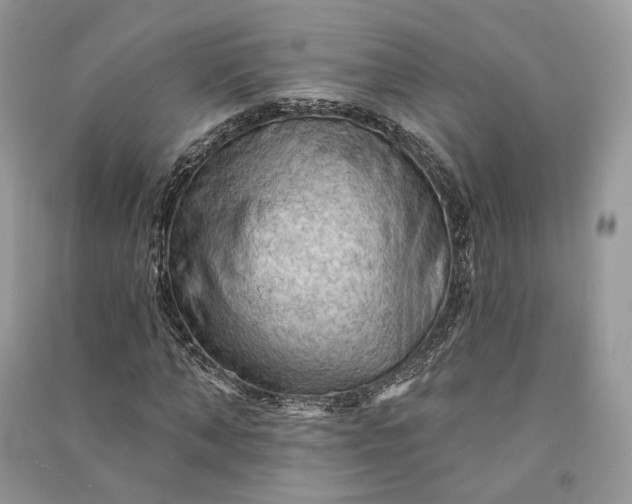 X0000090910870200708131410