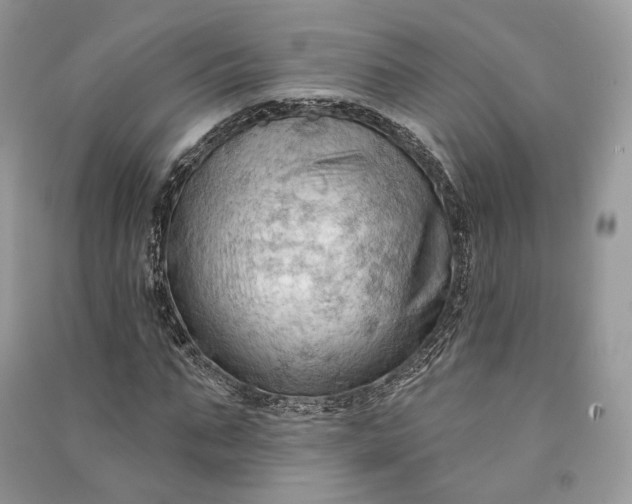 X0000090910871200708131410