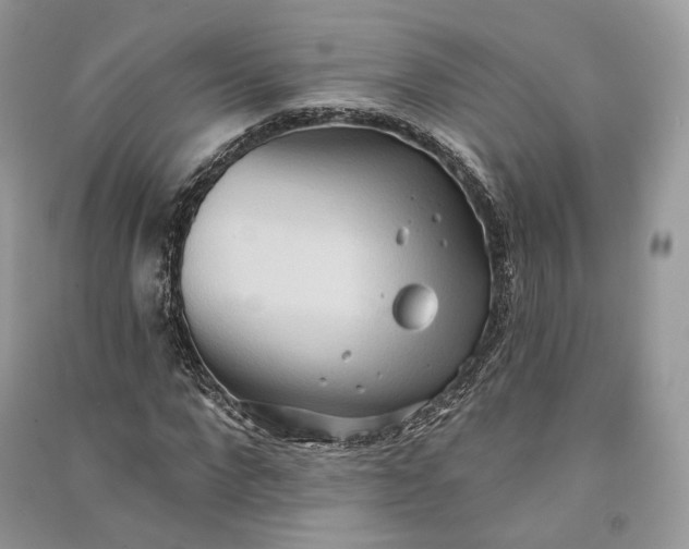 X0000090910872200708131410