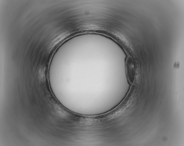 X0000090910873200708131410