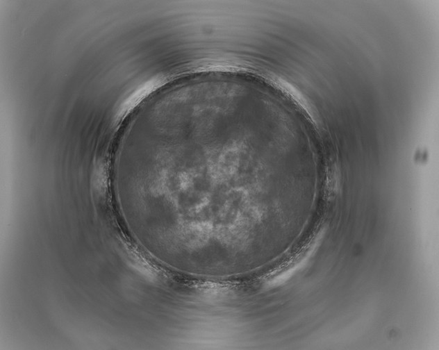 X0000090910874200708131410