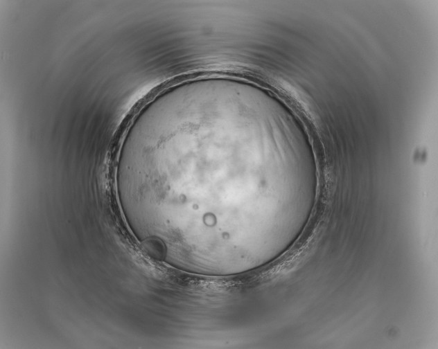 X0000090910875200708131410