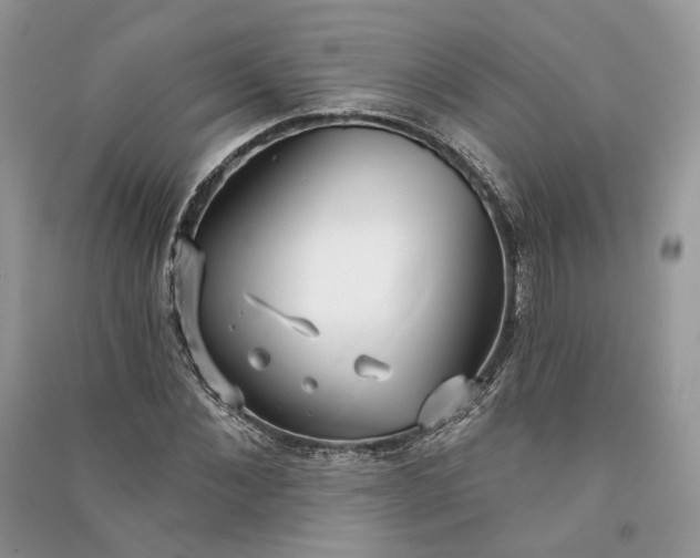 X0000090910876200708131410