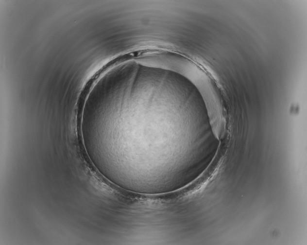 X0000090910877200708131410