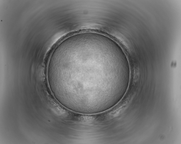 X0000090910878200708131410