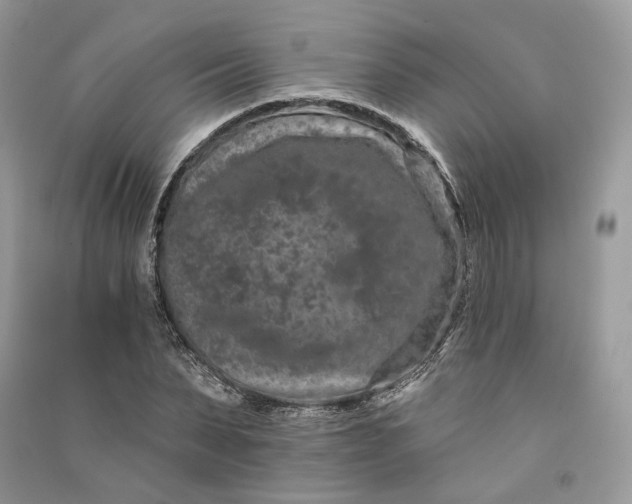 X0000090910879200708131410