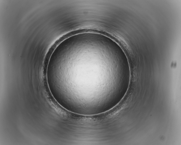 X0000090910880200708131410