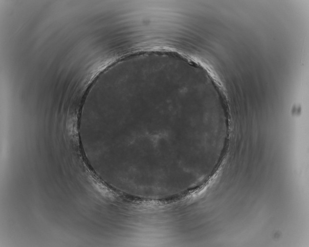 X0000090910881200708131410