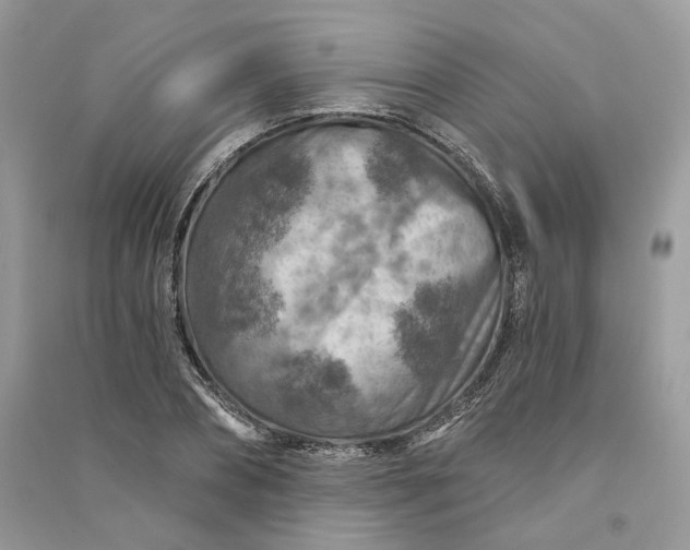 X0000090910882200708131410