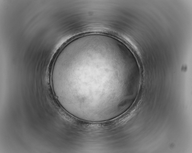 X0000090910883200708131410