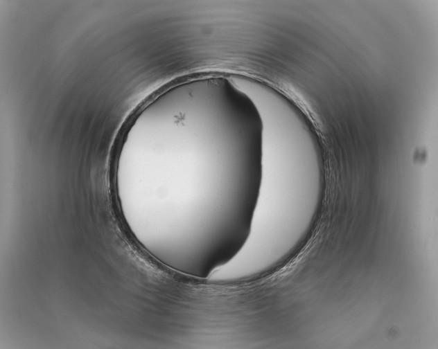 X0000090910884200708131410