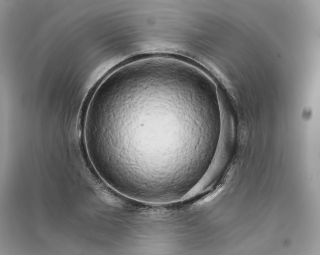 X0000090910885200708131410