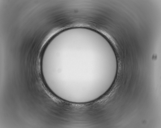 X0000090910886200708131410