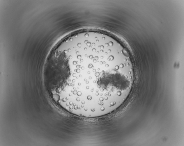 X0000090910887200708131410