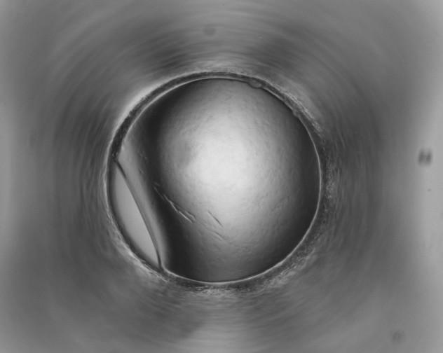 X0000090910888200708131410