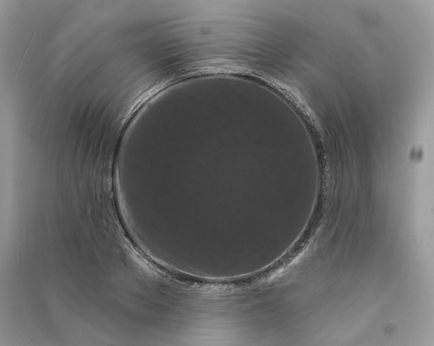 X0000090910889200708131410